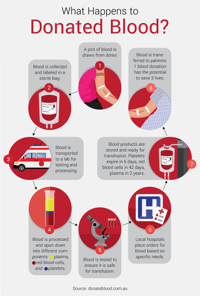 Guide To Donating Blood What To Know Before You Go Global